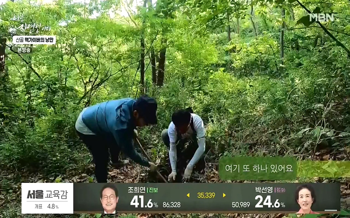 나는 자연인이다.E504.220602p-NEXT.mp4_20220602_201446.885.jpg