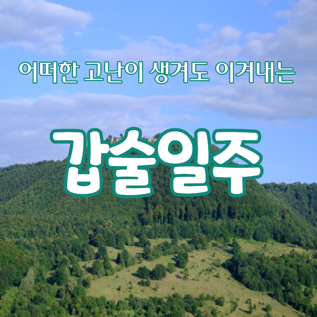  11. 어떠한 일이 생겨도 이겨내는, 갑술일주