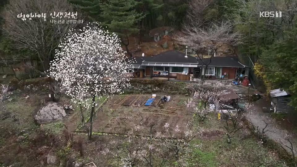 다큐 인사이트.E153.230608p.H264-F1RST.mp4_20230612_204536.866.jpg