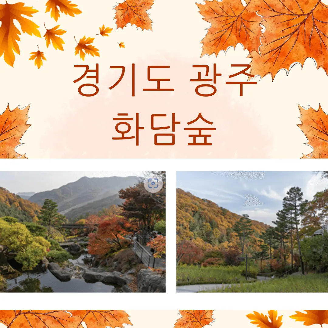 서울-경기-추석-연휴-가볼만한-곳-화담숲