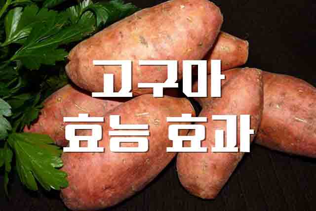 고구마, 다이어트에도 효과적인 고구마 효능