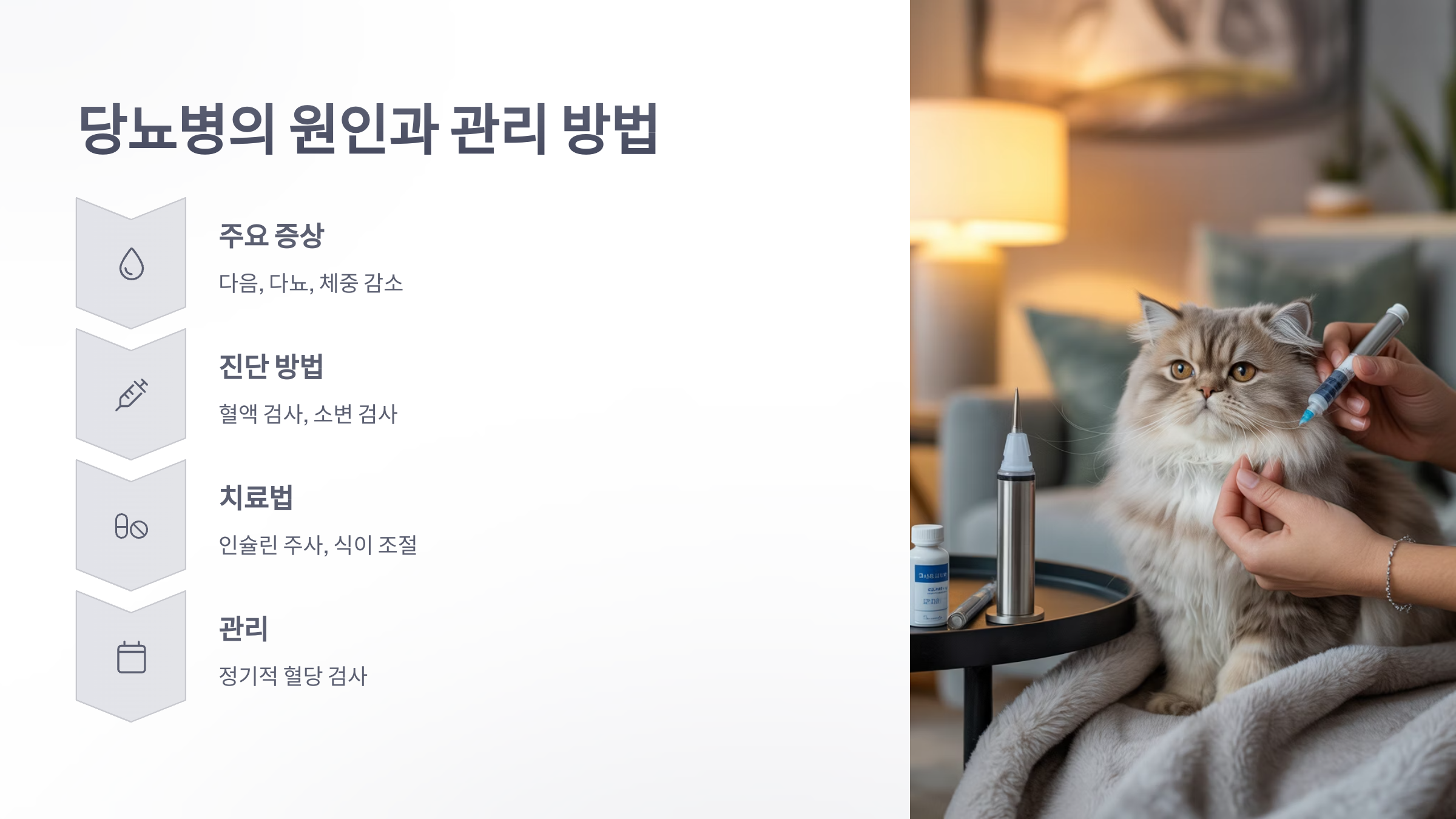 참조-고양이-4대-질환-5