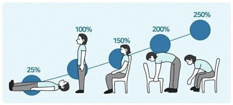  자세에 따라 달라지는 척추 압력