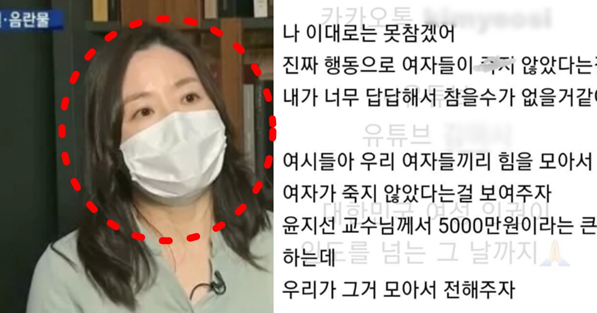 유튜버 보겸 윤지선 세종대 교수 보이루 재판 판결 5000만원 배상 여시 반응