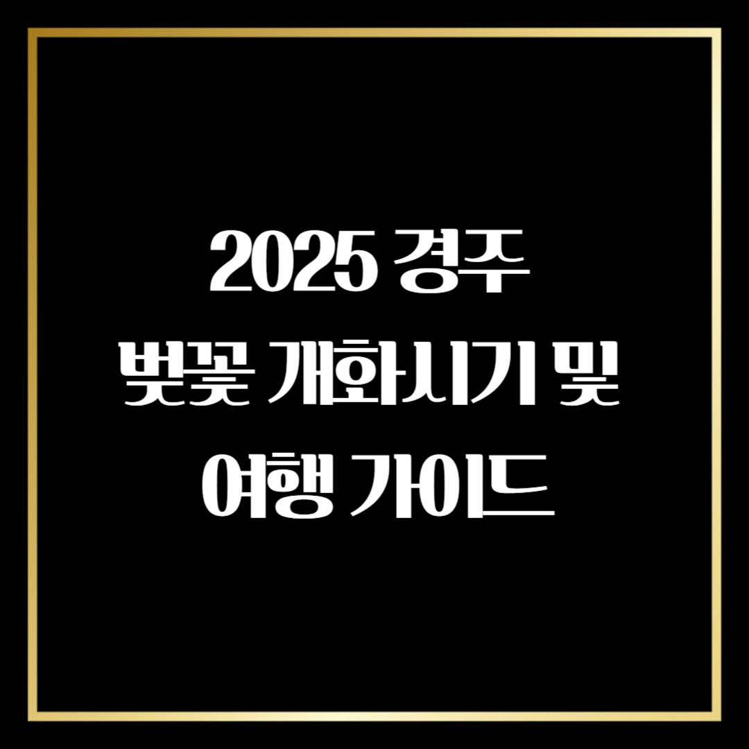 경주 벚꽃