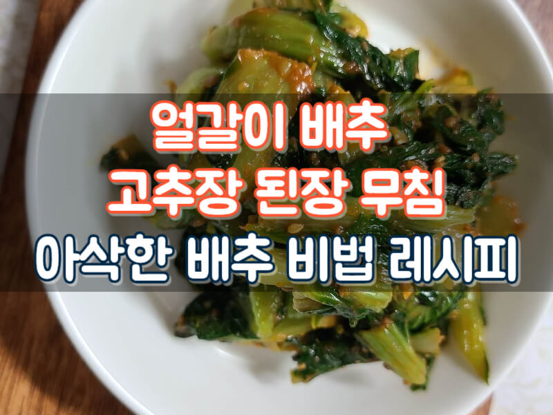 제철 집밥 반찬 얼갈이 배추 고추장 된장 무침 효능 칼로리