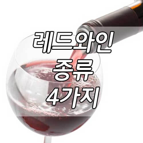 와인 종류&#44; 대표적인 레드 포도 품종 4가지!