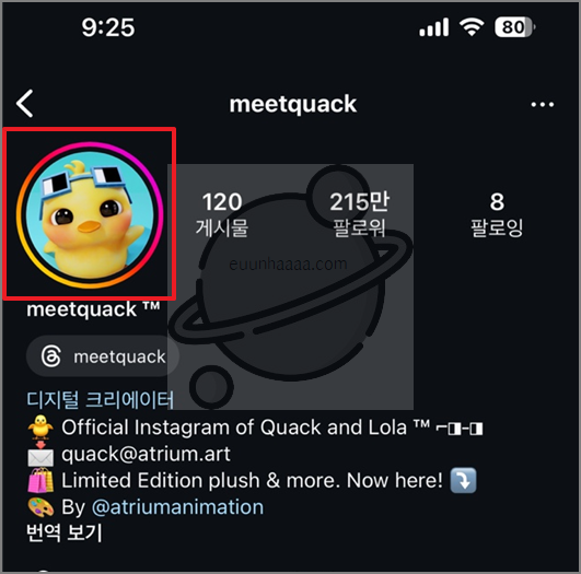 인스타그램 스토리 몰래 보는 법, 꿀팁 완전정복!