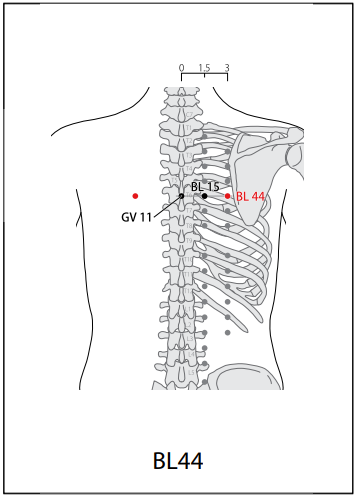 족태양방광경(BL) > BL44 신당 (神堂) 1