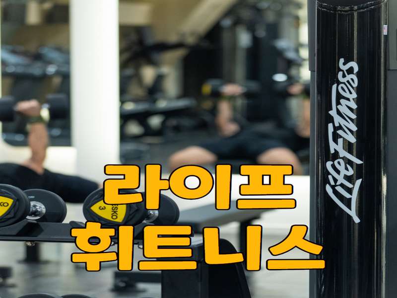 3.2 포괄적인 서비스