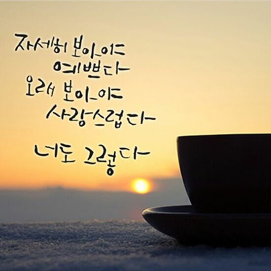  사랑에 답함(나태주)