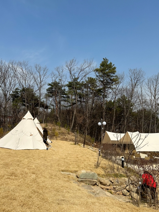 이천대형카페 추천 아누반 야외석