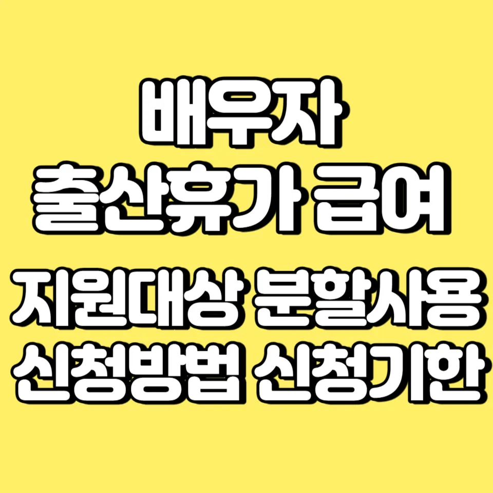 썸네일 배우자 출산 급여