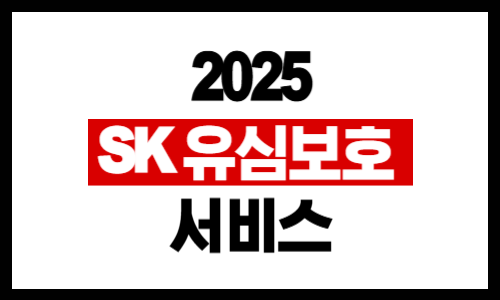 SK 유심보호 서비스