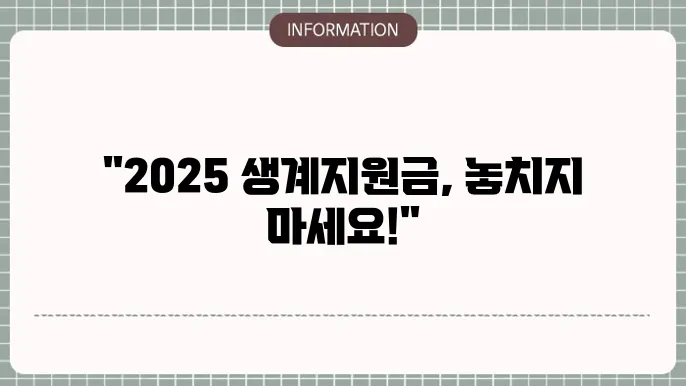2025 정부 지원지원금 지원 요건