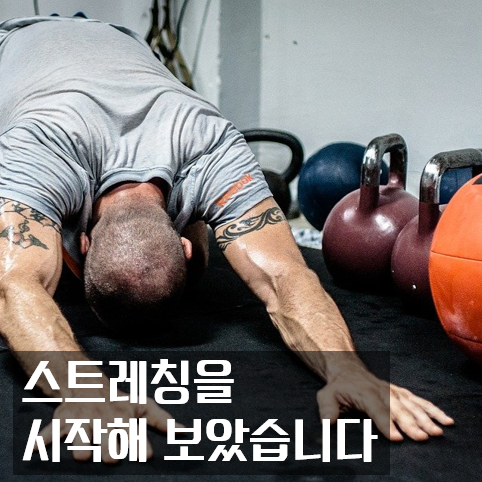  아재 건강법 : 직장인 스트레칭 예찬