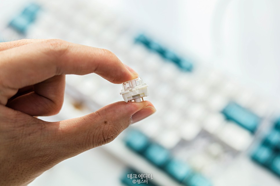 CK01 PBT SL 내돈내산 후기 가성비 저소음 키보드, 콕스 1