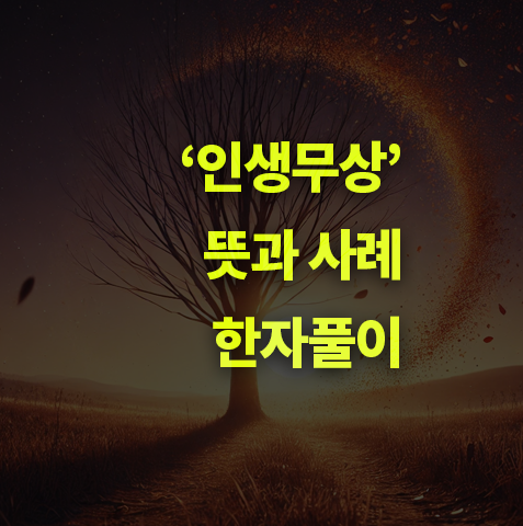 인생무상이란? 뜻, 한자 풀이, 사례.