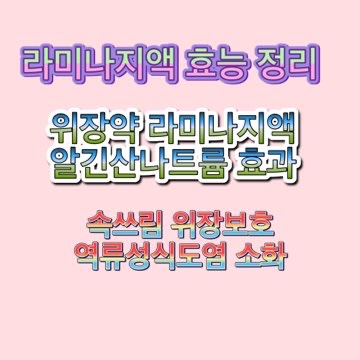 라미나지액-효능-알긴산나트륨-효과