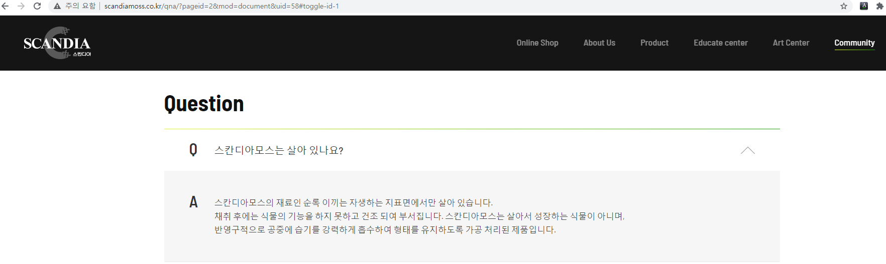  물 안 줘도 되는 식물인 스칸디아모스의 진실