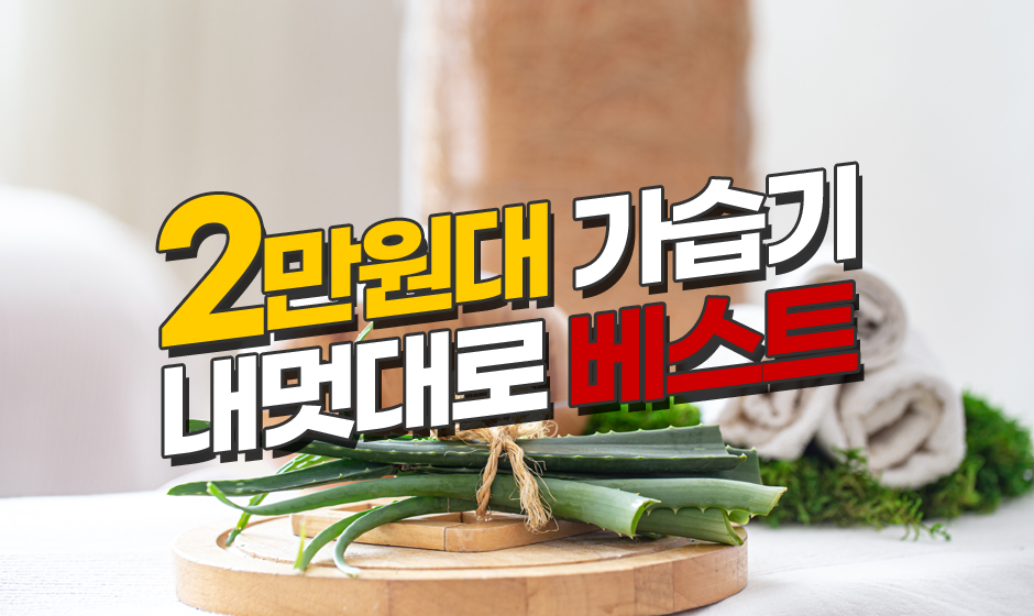  2만원대 가습기 최저가보러가기