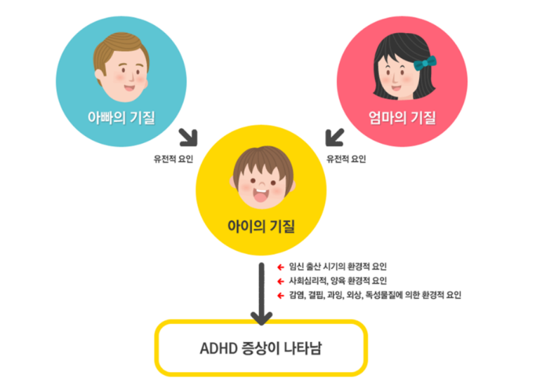 ADHD의 유전적 요인