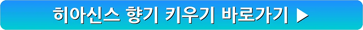 히아신스 향기 키우기_4