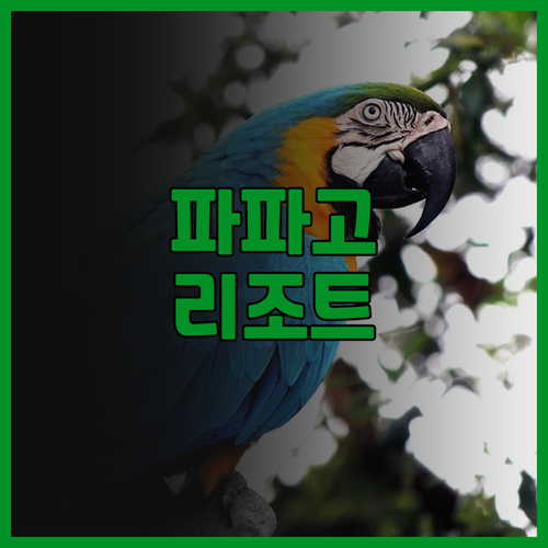 파파고 인터내셔널 리조트.. 청결한 