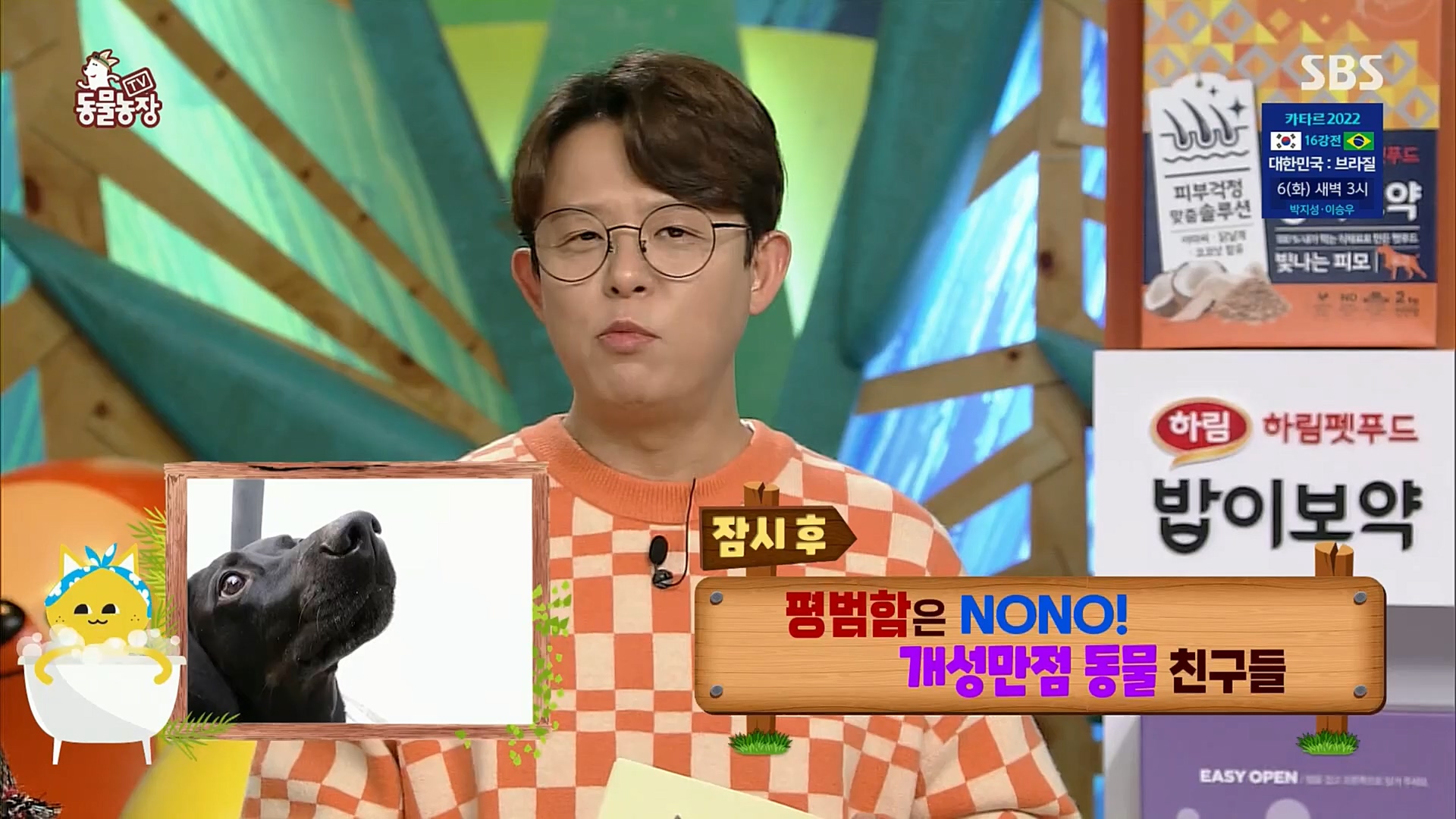 TV 동물농장.E1098.221204p.H264-F1RST.mp4_20221204_175357.258.jpg