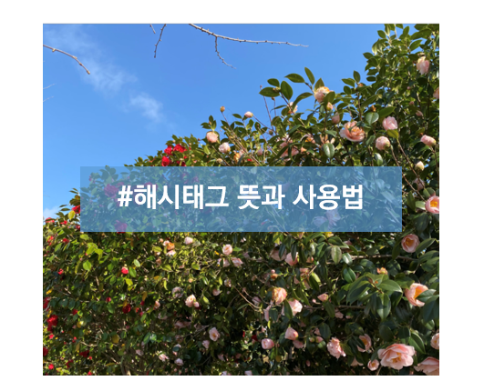  [인스타그램 기초] 해시태그 뜻과 사용법 알아보기