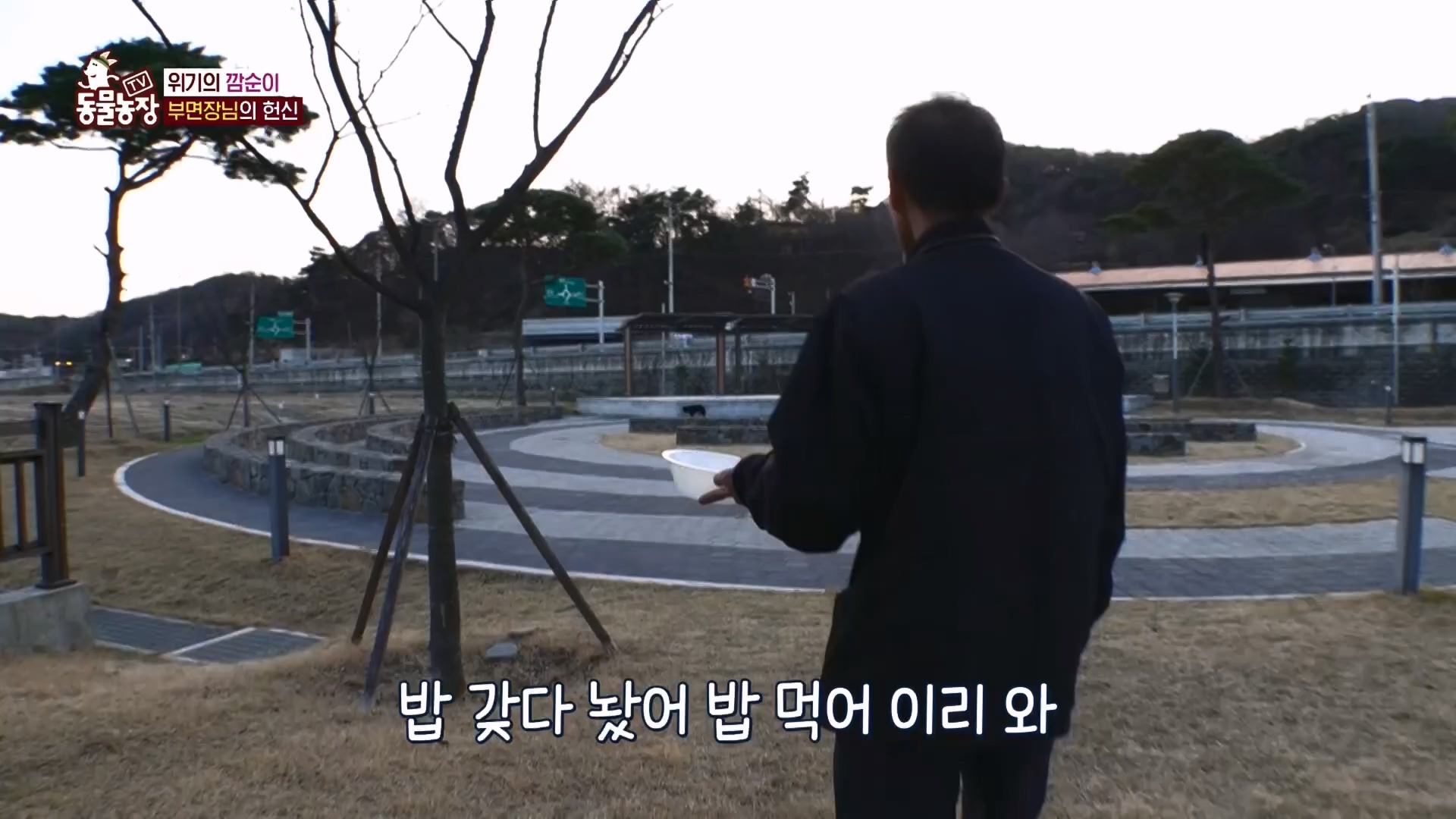 TV 동물농장.E1118.230423p.H264-F1RST.mp4_20230423_181132.165.jpg