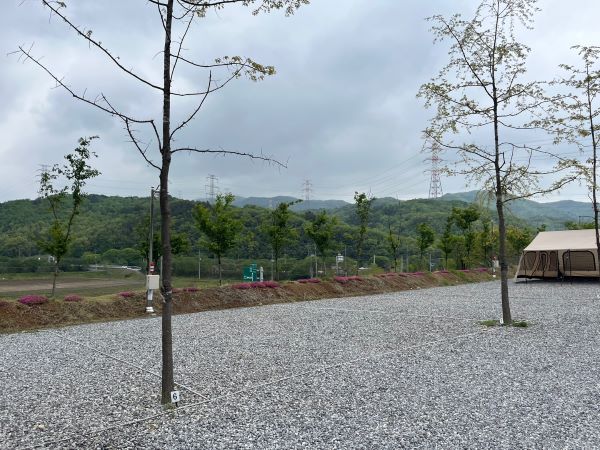 A구역