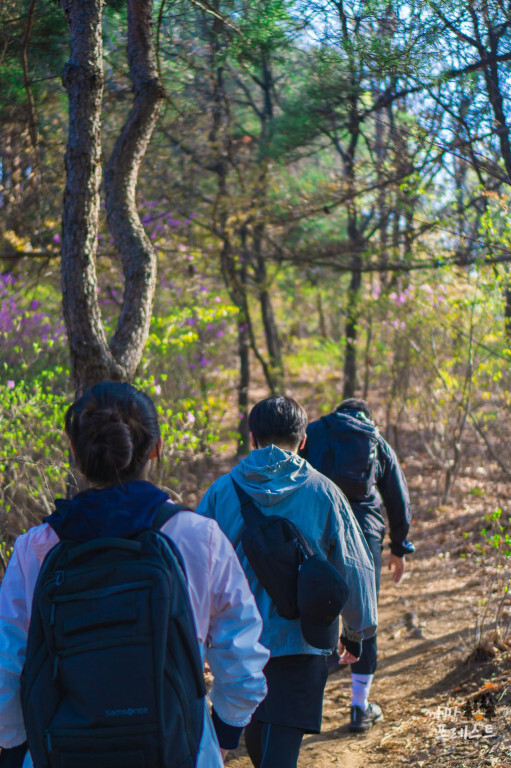 광교산 산행