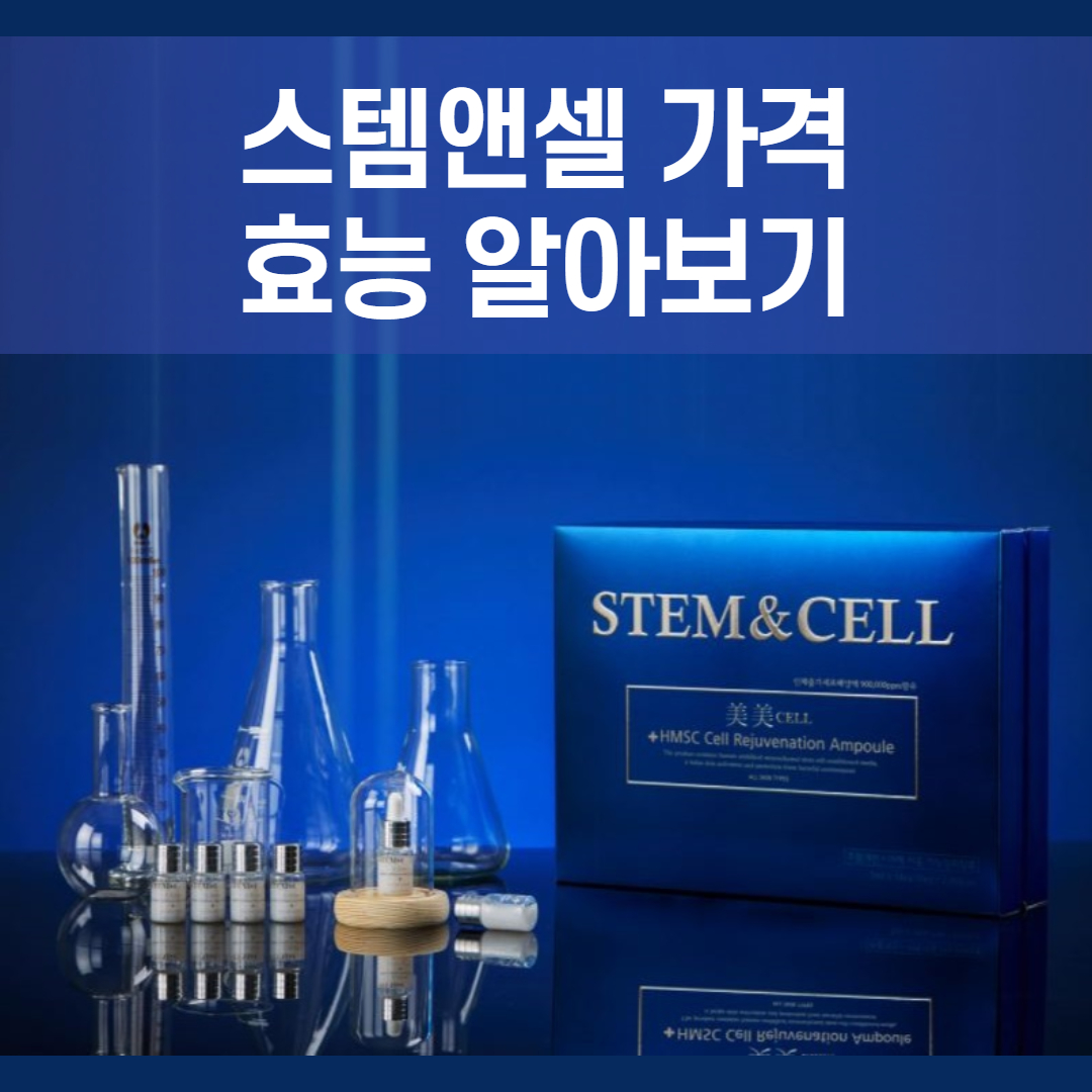  스템앤셀 가격 알아봐요 + 줄기세포화장품 이야기