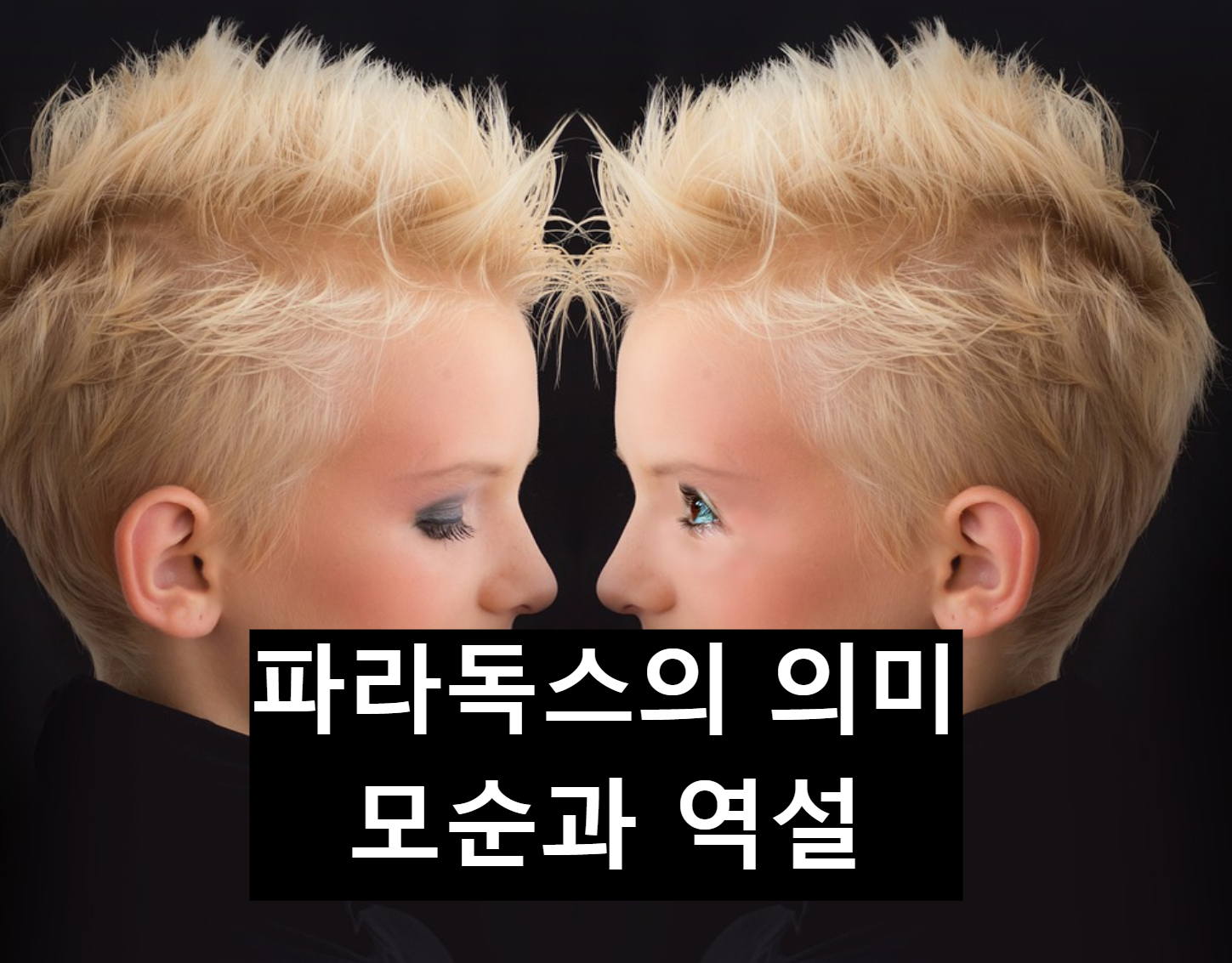  파라독스의 의미, 모순? 역설?