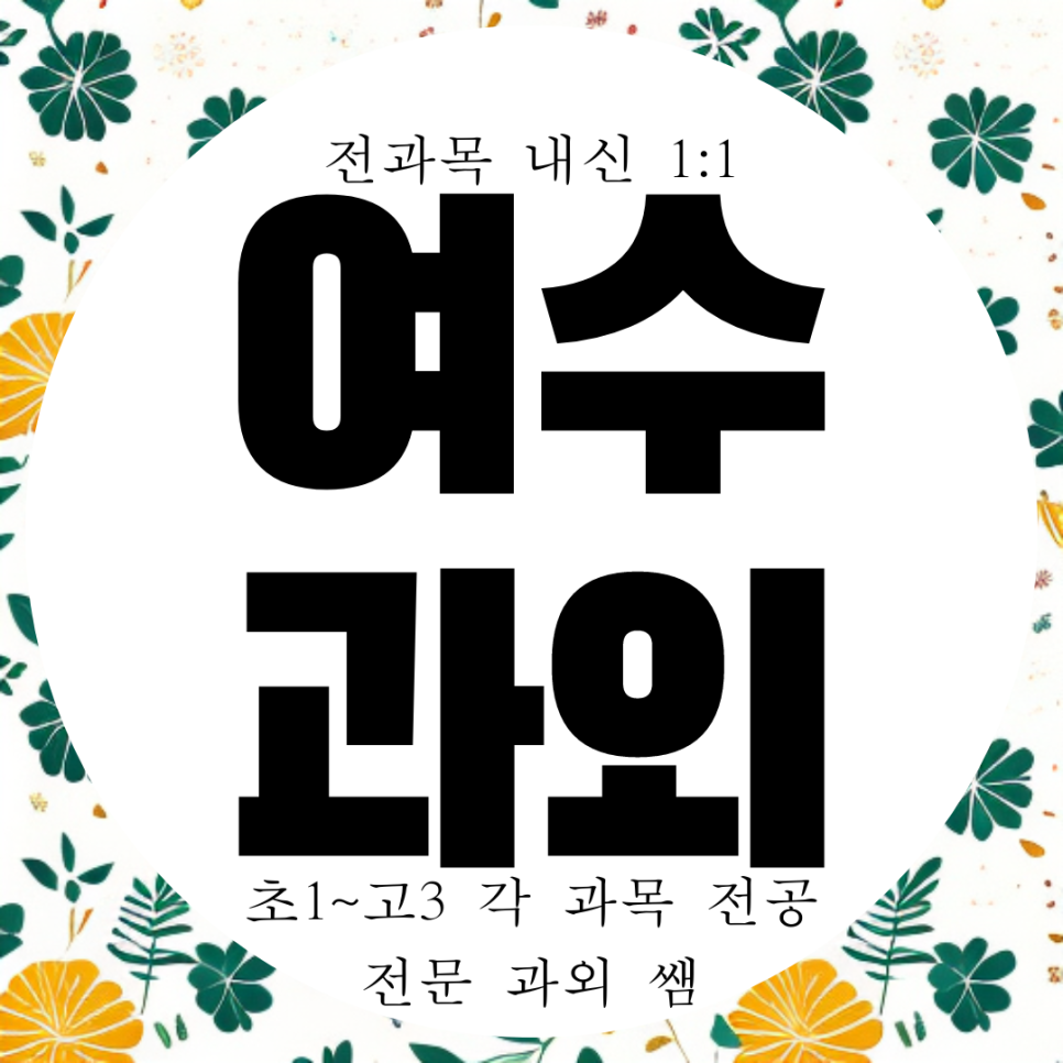  여수 학동 고등 영어과외 쌍봉동 수학과외 중등 초등 완벽한 개념