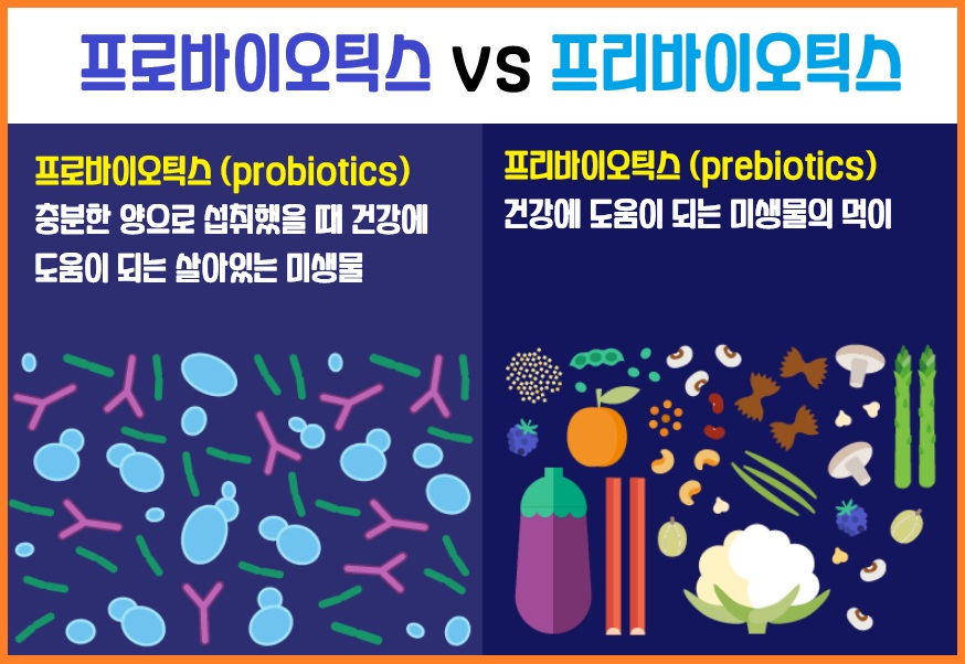 프로바이오틱스 프리바이오틱스 차이점