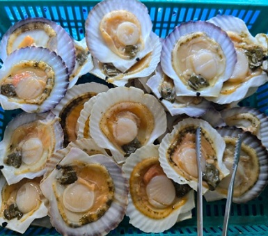 파주-조개고기-무한리필-지지네조개마을