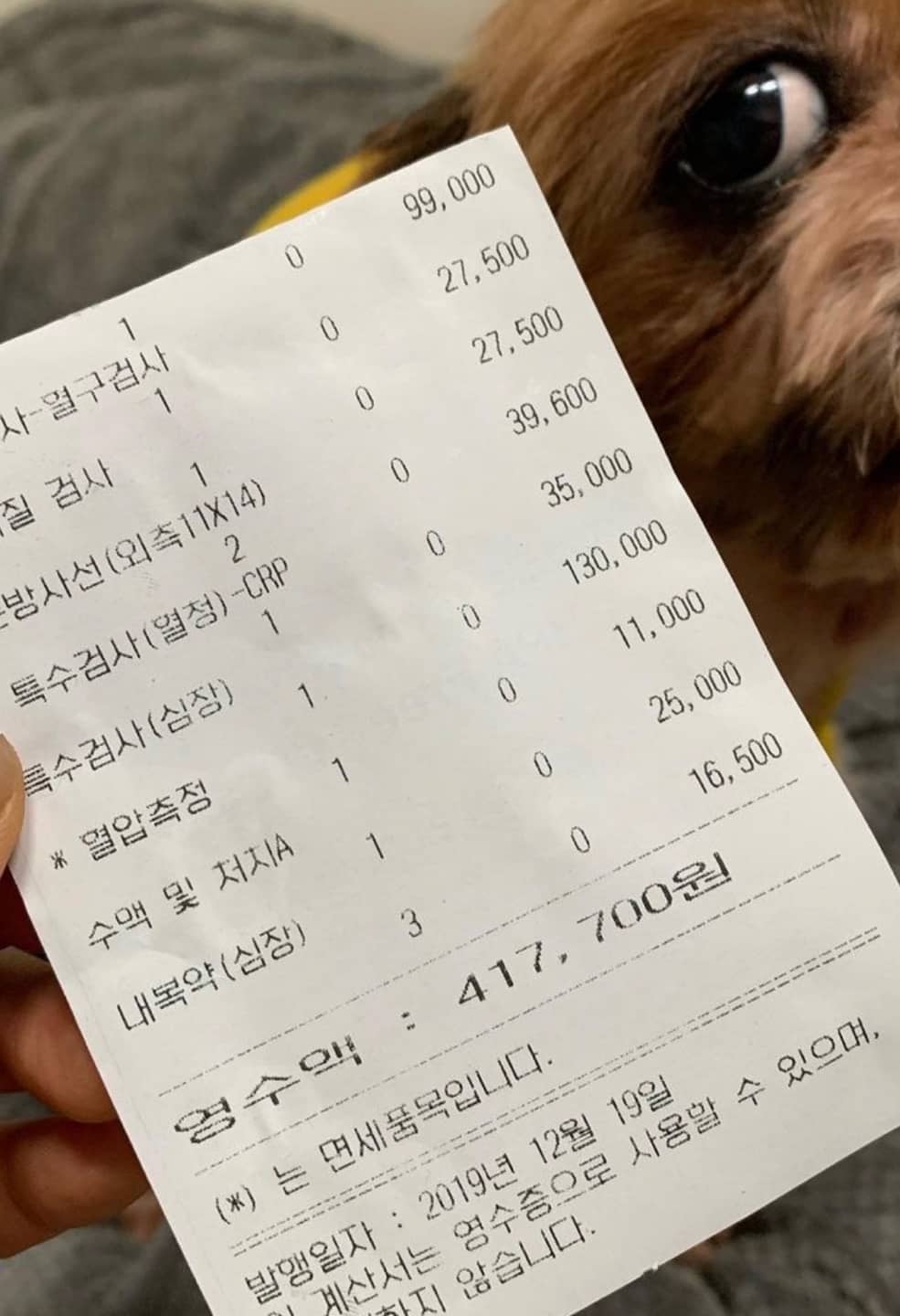 동물병원 진료비