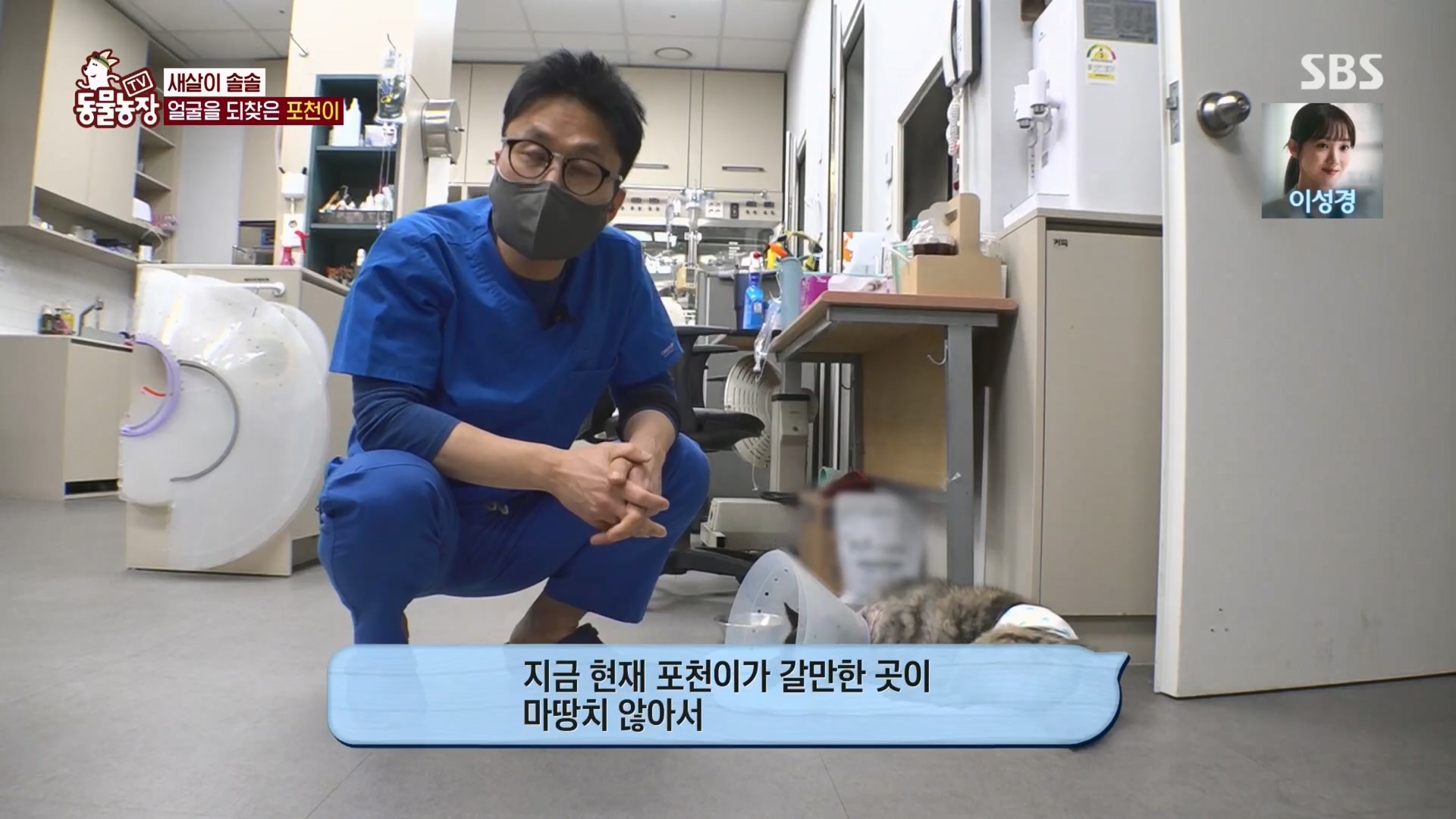 TV 동물농장.E1116.230416p.H264-F1RST.mp4_20230418_194216.078.jpg