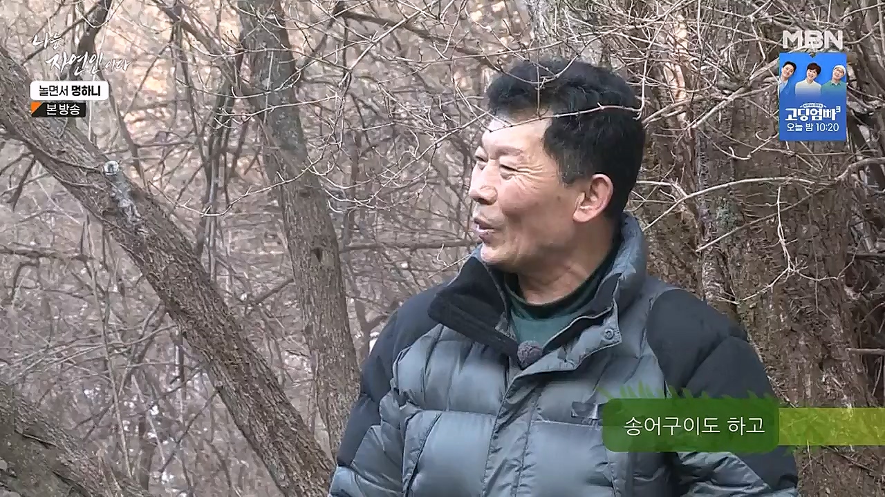 나는 자연인이다.E538.230126p-NEXT.mp4_20230126_194011.802.jpg