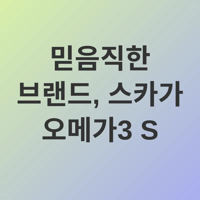 스카가 오메가 3_2