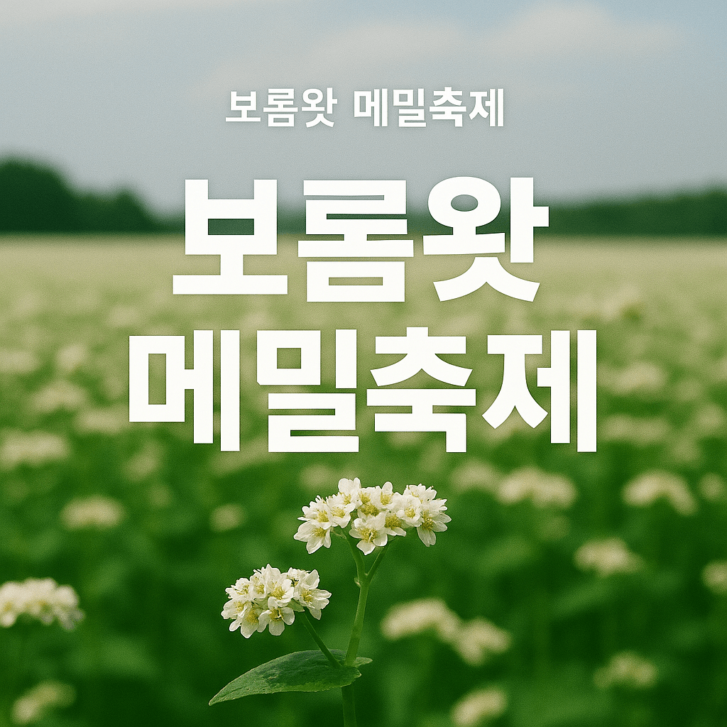 보롬왓 메밀축제