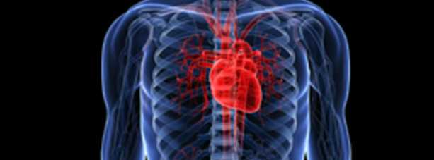 아보카도 효능 - 심장 질환 예방