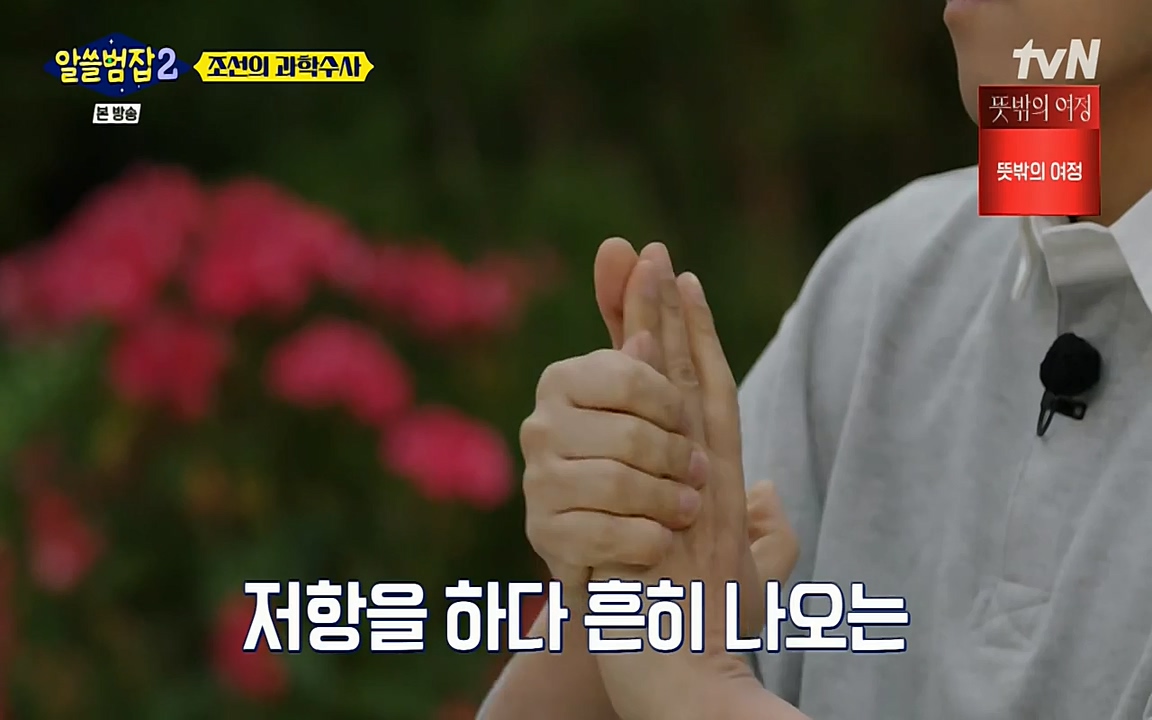 알쓸범잡 2.E16.220502p-NEXT.mp4_20220502_174319.999.jpg