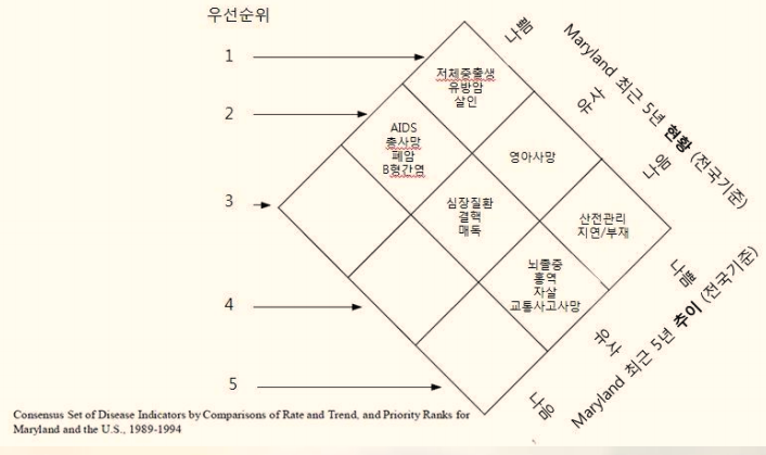  공중보건학. 우선순위 결정기법 - 황금다이아몬드 방식