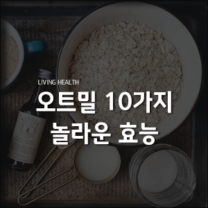  오트밀 10가지 놀라운 효능