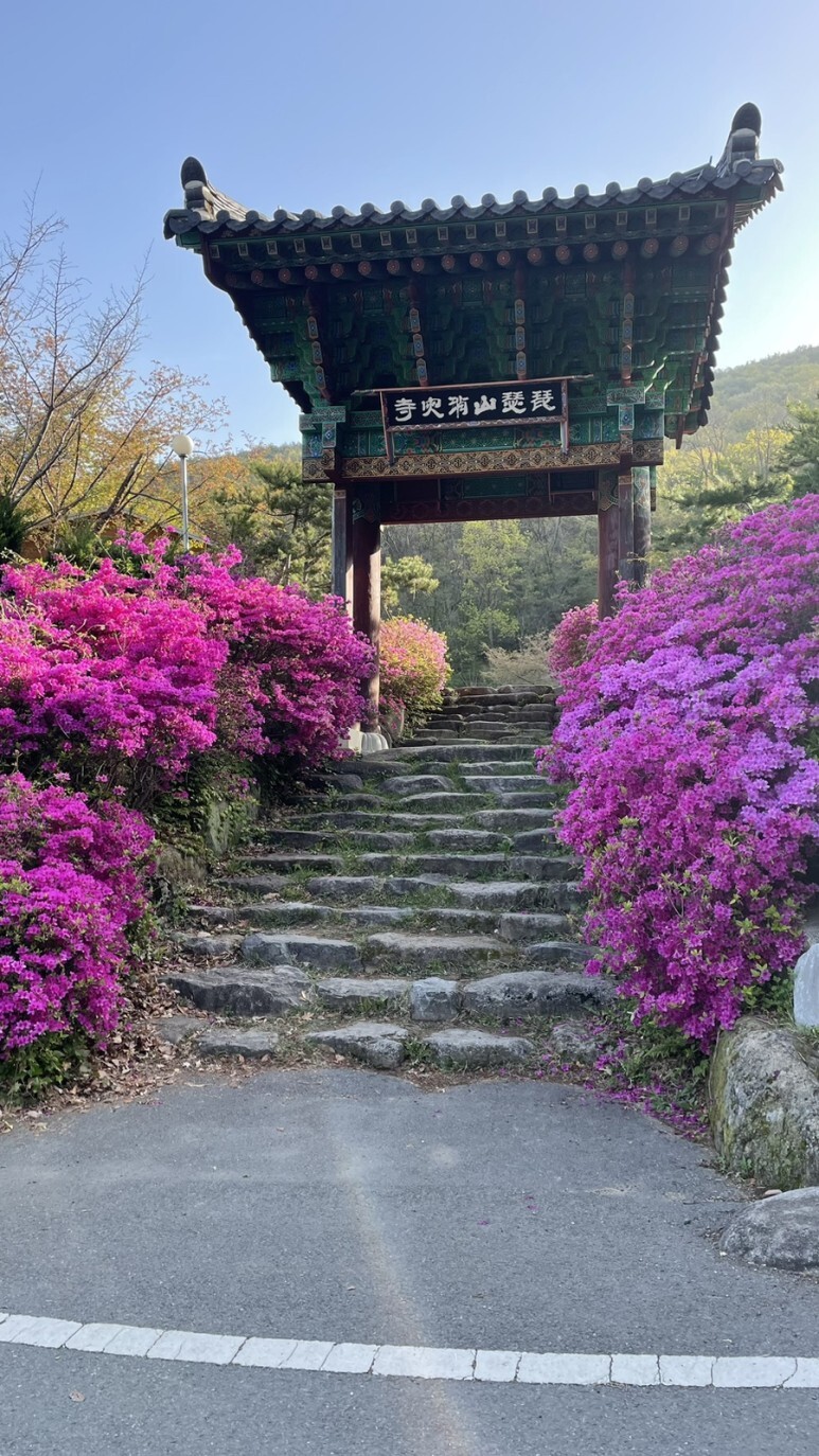 비슬산