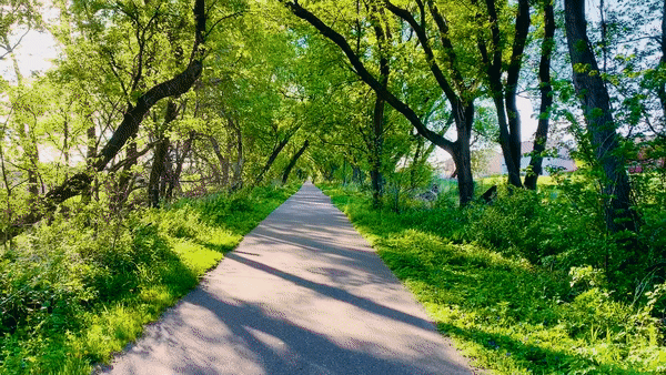 녹색-나무-잔디밭-산책로-걸어가는-모습