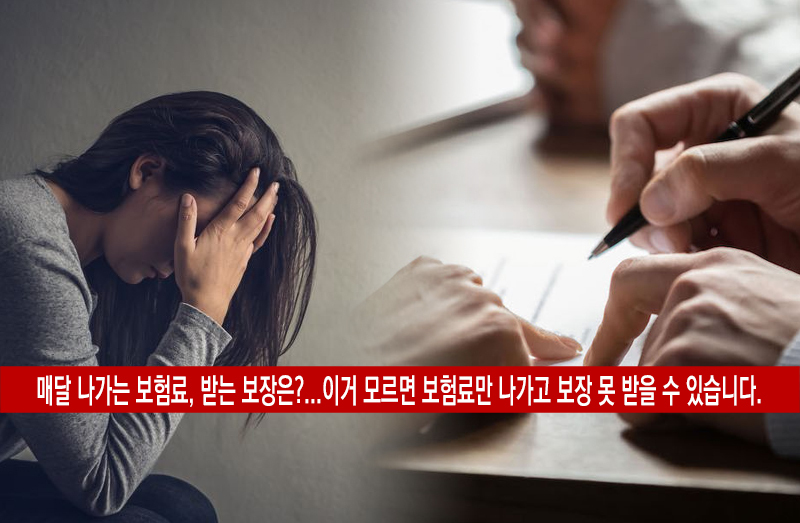  내가 가입한 보험 조회 방법